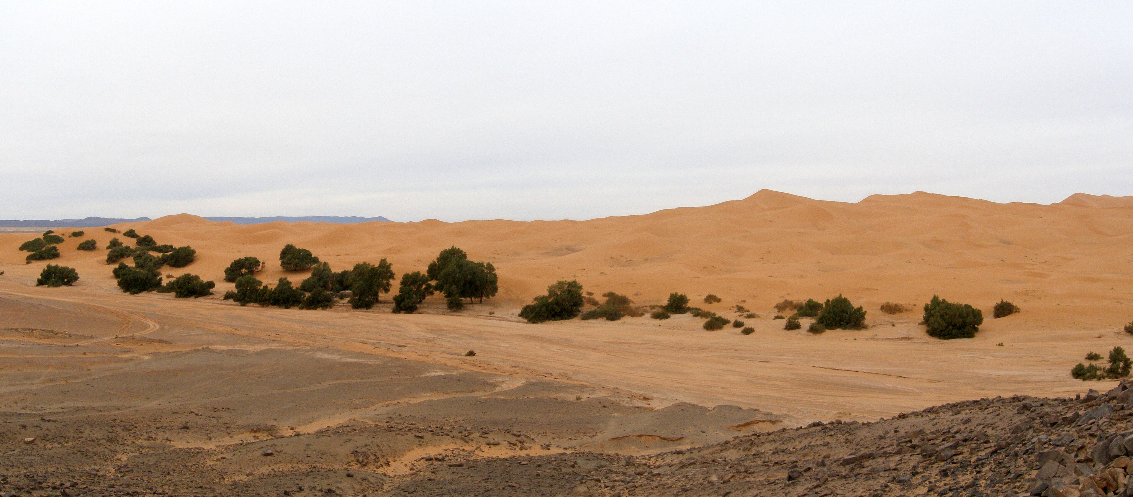 Merzouga Real Photo